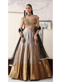 Basanti Kapde aur Koffee - Gold The Royal Ombre Lehenga with Blouse and Dupatta