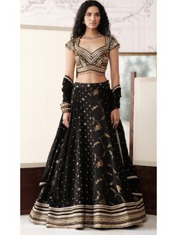 Basanti Kapde aur Koffee - Black The Royal Obsidian Lehenga with Blouse and Dupatta
