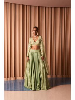 Rishi & Vibhuti - Sheer Swift Green Lehenga With Blouse And Dupatta