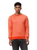 Orange color option, Currently selected