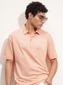 Coral color option, Currently selected