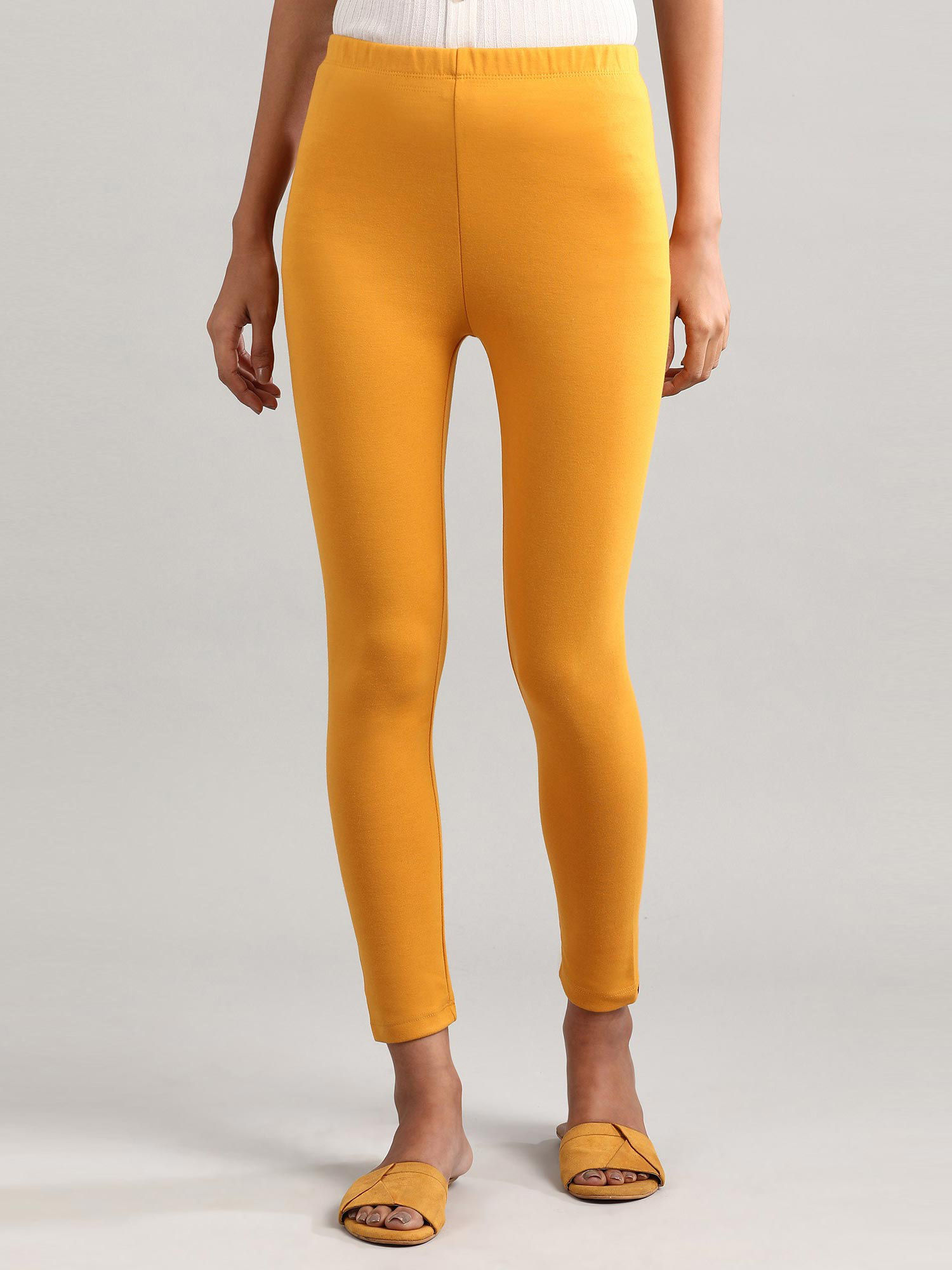 Buy Aurelia Yellow Solid Winter Tights 