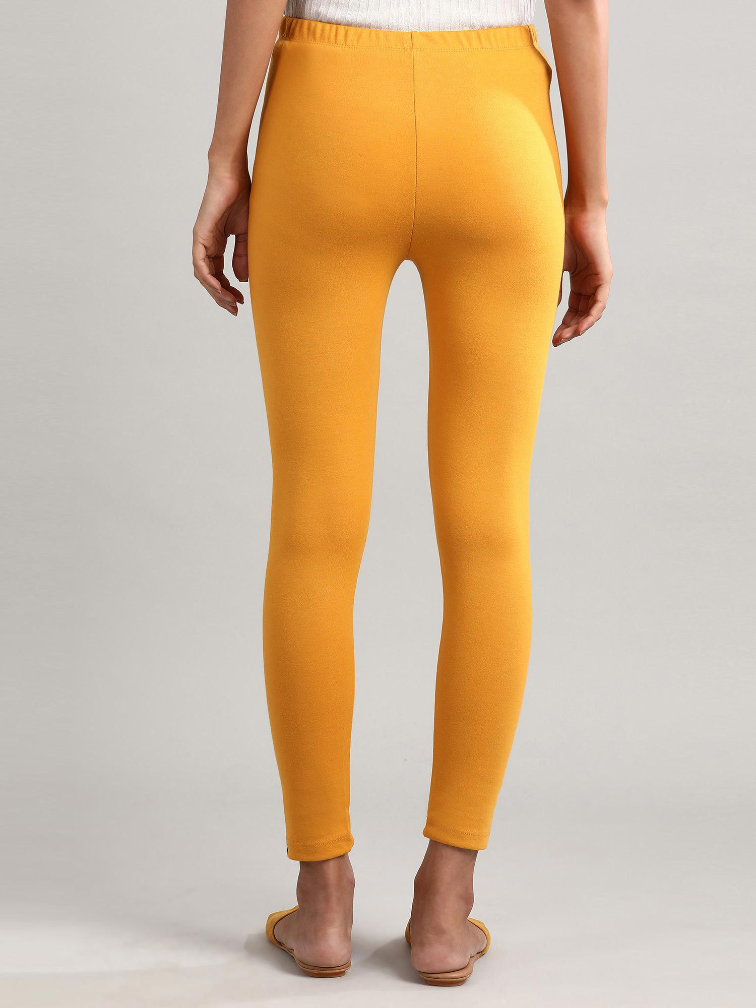 Buy Aurelia Yellow Solid Winter Tights 