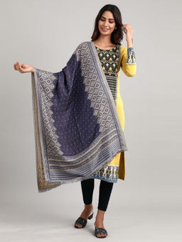Aurelia - Blue Woven Reversable Shawl