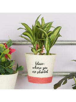 HomeTown - Pep Pop Metal Funky Quote Railing Planter 19Cm in Off White & Fuchsia Colour