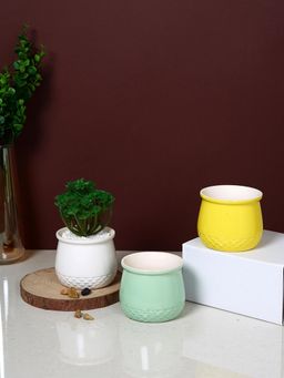 Tayhaa - Multi-Color Sunlit Harmony Planters (Pack of 3)