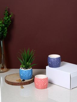 Tayhaa - Multi-Color Owl Charm Ceramic Planters (Pack of 3)