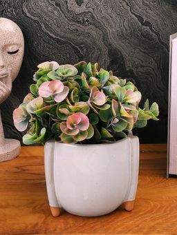 Tayhaa - White Breeze Solid Ceramic Planter