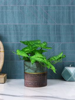 Tayhaa - Green & Wood Fusion Planter