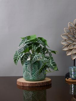Tayhaa - Green Leaf Textured Planter
