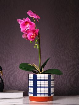 Tayhaa - Navy Blue Checkered Charm Planter