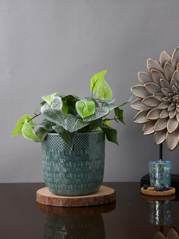 Tayhaa - Sage Green Basketweave Ceramic Planter