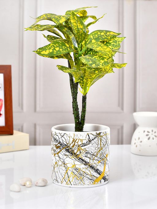 Tayhaa Golden & White Abstract Planter