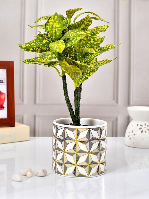 Tayhaa Multi-Color Ceramic Abstract Planter