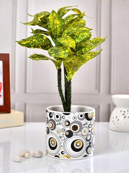 Tayhaa - White Harmony Of Circles Ceramic Planter