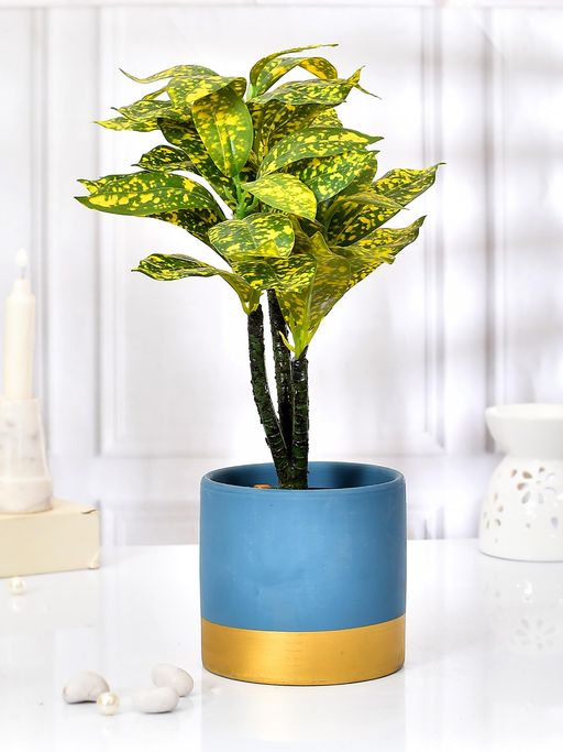 Tayhaa Solid Blue with Golden Bottom Indoor Planter