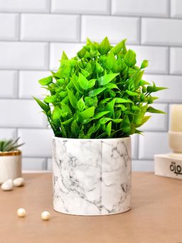 Tayhaa - White & Black Abstract Ceramic Indoor Planter