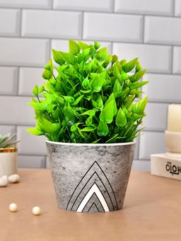 Tayhaa - Grey Ceramic Planter