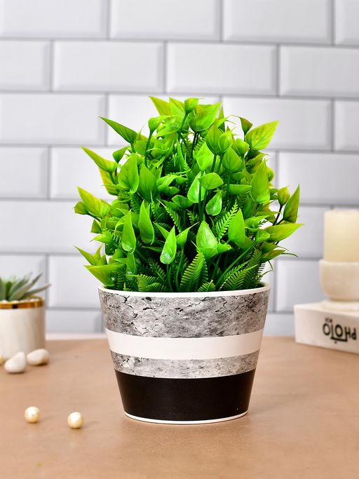 Tayhaa Multi-Color Ceramic Planter