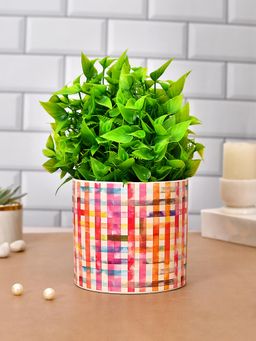 Tayhaa - Multi-Color Colorful Ceramic Delight Small Planter