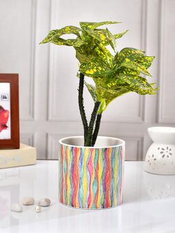 Tayhaa - Multi-Color Vertical Waves Ceramic Planter