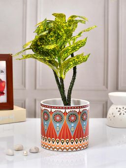 Tayhaa - Red Vibrant Multi-Patterned Ceramic Planter