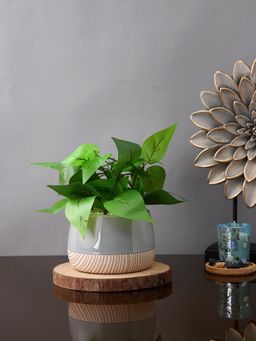 Tayhaa - Grey Slatewood Elegance Planter