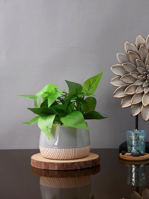 Tayhaa Grey Slatewood Elegance Planter