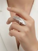 Silver color option