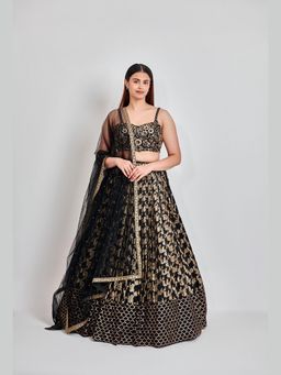 Meenagurnam - Black and Gold Mirror Work Lehenga with Choli and Dupatta
