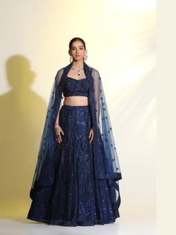 Meenagurnam - Blue Adorned with sequined and cutdana Lehenga With Choli And Dupatta