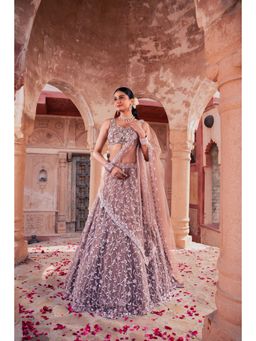 Meenagurnam - Mouse Colored Brown Net Sequins Embroidered Lehenga With Choli And Dupatta