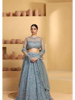Meenagurnam - Net Blue Lehenga With Choli And Dupatta