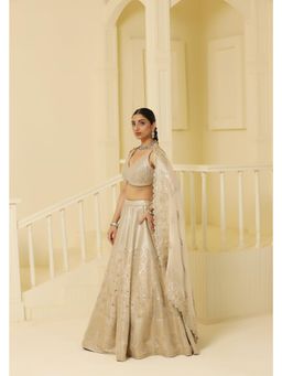 Meenagurnam - Gold Mughal art Embroidered Tissue Lehenga With Choli And Dupatta
