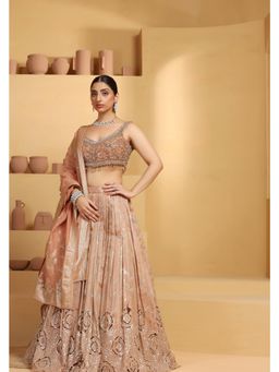 Meenagurnam - Rust Cutwork Tissue Lehenga With Choli And Dupatta