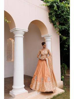 Meenagurnam - Rust Silk Jacquard Jaal Embellished Lehenga With Blouse And Dupatta