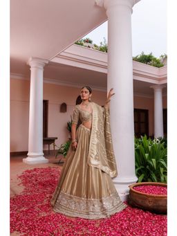 Meenagurnam - Sage Green Tissue Mirror Embroidered Gold Lehenga With Blouse And Dupatta