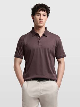 Arrow - Men's Purple Striped Regular Fit Polo T-Shirt