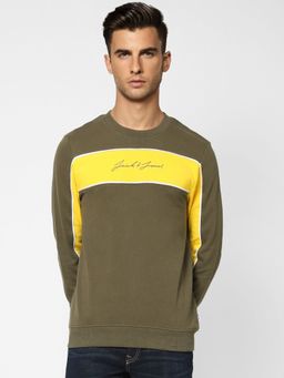 Jack & Jones - Men Colourblocked Green Sweatshirt