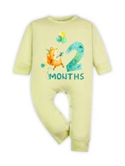 Arvesa - Yellow 2 Month Monthly Milestone Printed Romper (0-3 Months)