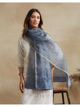 Fabindia - Women Grey Silk Stole