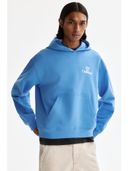 Blue color option, Currently selected