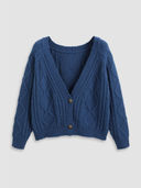 Blue color option, Currently selected