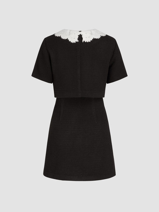 Buy Cider Tweed Collar Solid Lace Mini Dress (XS) Online