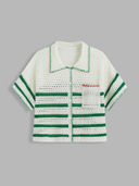 Green color option, Currently selected