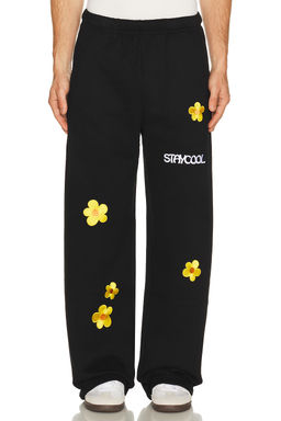 Stay Cool - Sunflower Straight Sweatpants