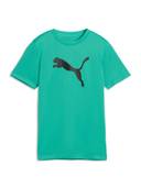 Green color option, Currently selected