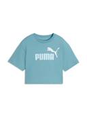 Blue color option, Currently selected