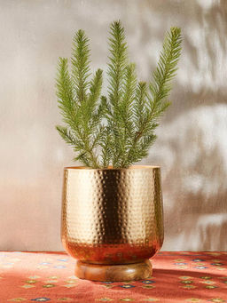 Fabindia - Golden Urvi Crafts Metal Table Planter