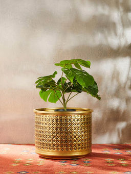 Fabindia Golden Sona Hammered Crafts Metal Floor Planter